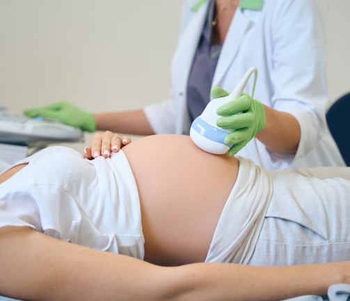Pregnancy ultrasound scan