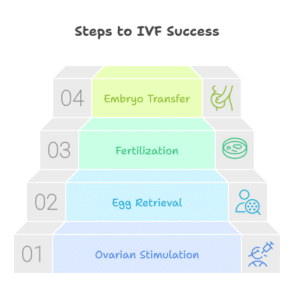 Steps for IVF Success in Chandigarh 