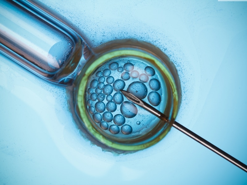 Myths and Facts About IVF